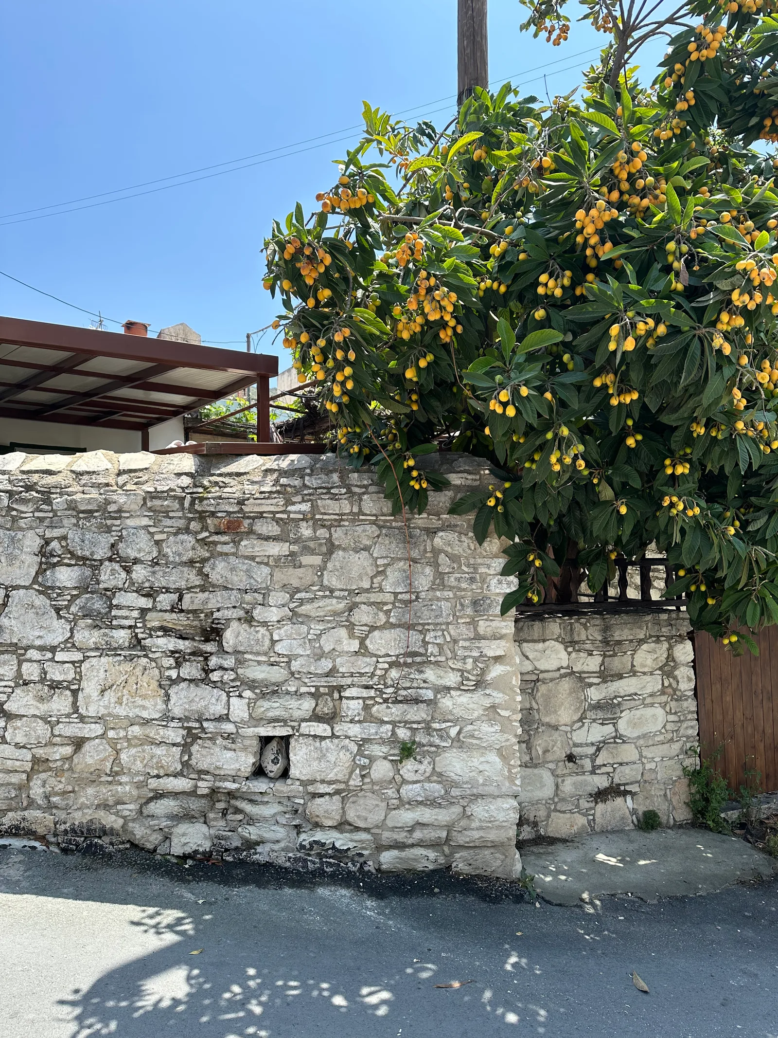 Peléndri, Cyprus — 14 May 2023