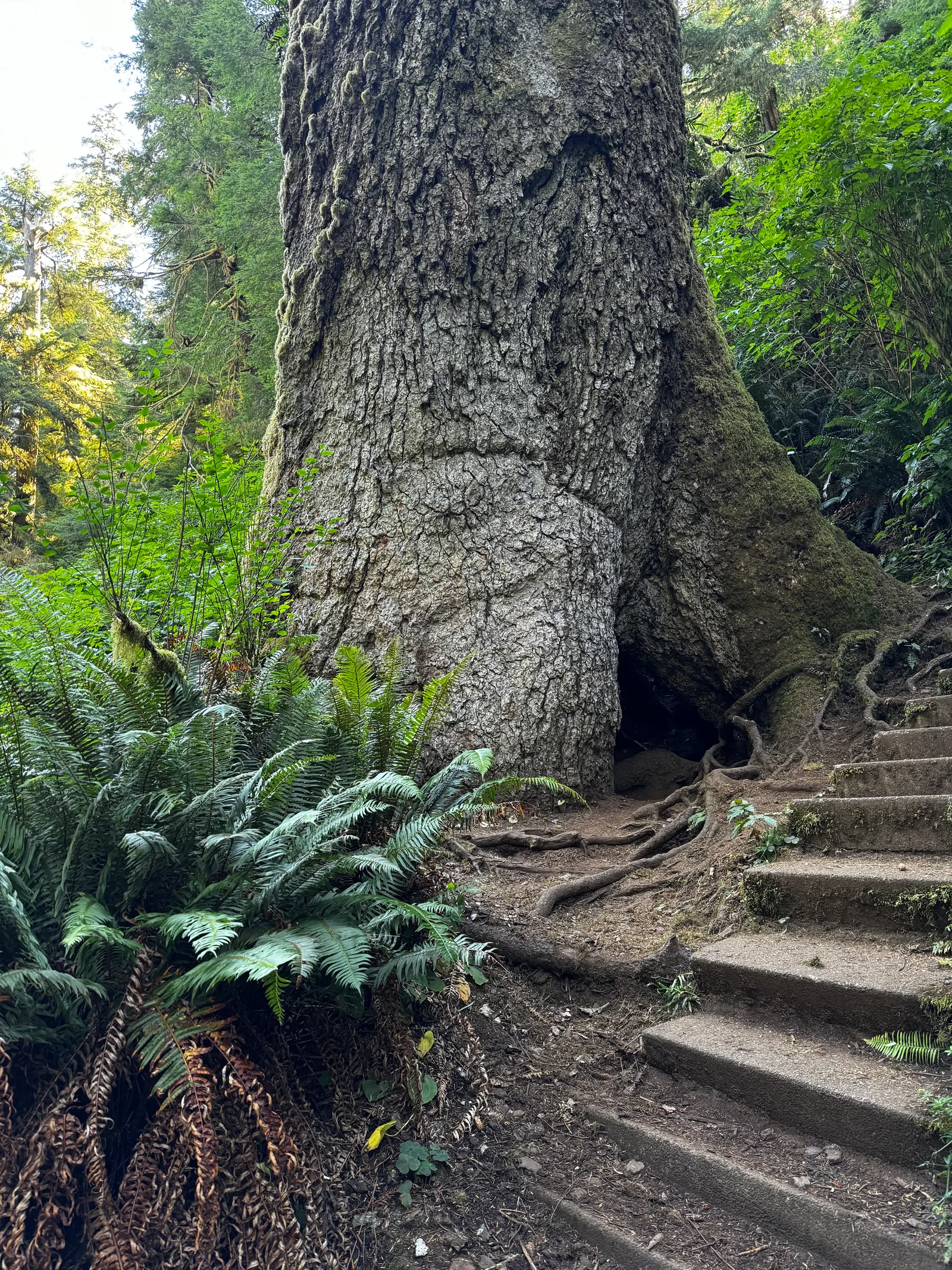 Waldport, United States — 26 August 2024