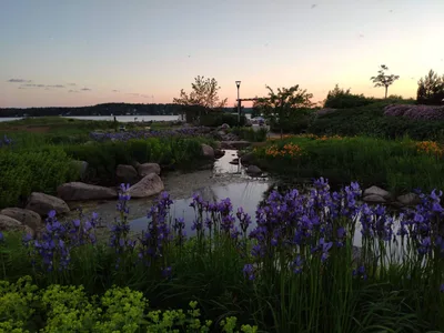 Photo from 15 June 2019