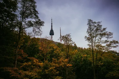 Photo from 16 October 2016