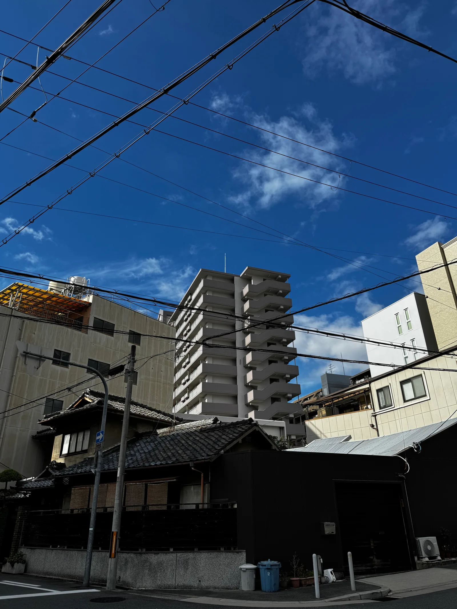 Ajiharacho, Japan — 23 November 2024