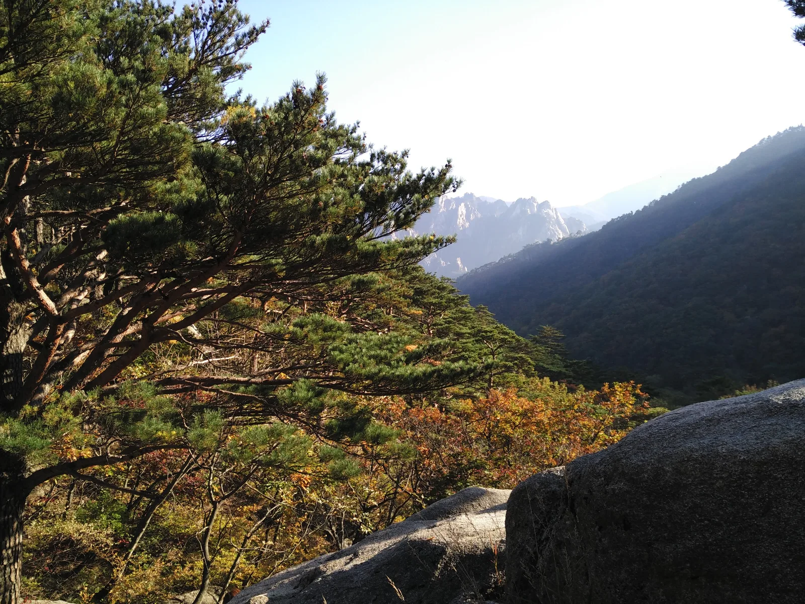 Sokcho, South Korea — 19 October 2016
