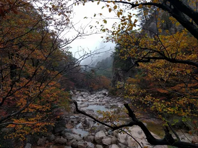 Sokcho, South Korea — 21 October 2016
