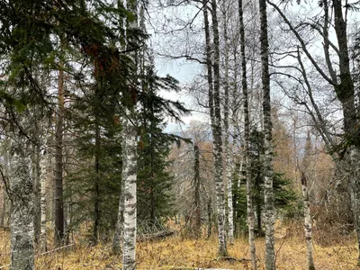 Trëkhgornyy, Russia — 16 October 2021