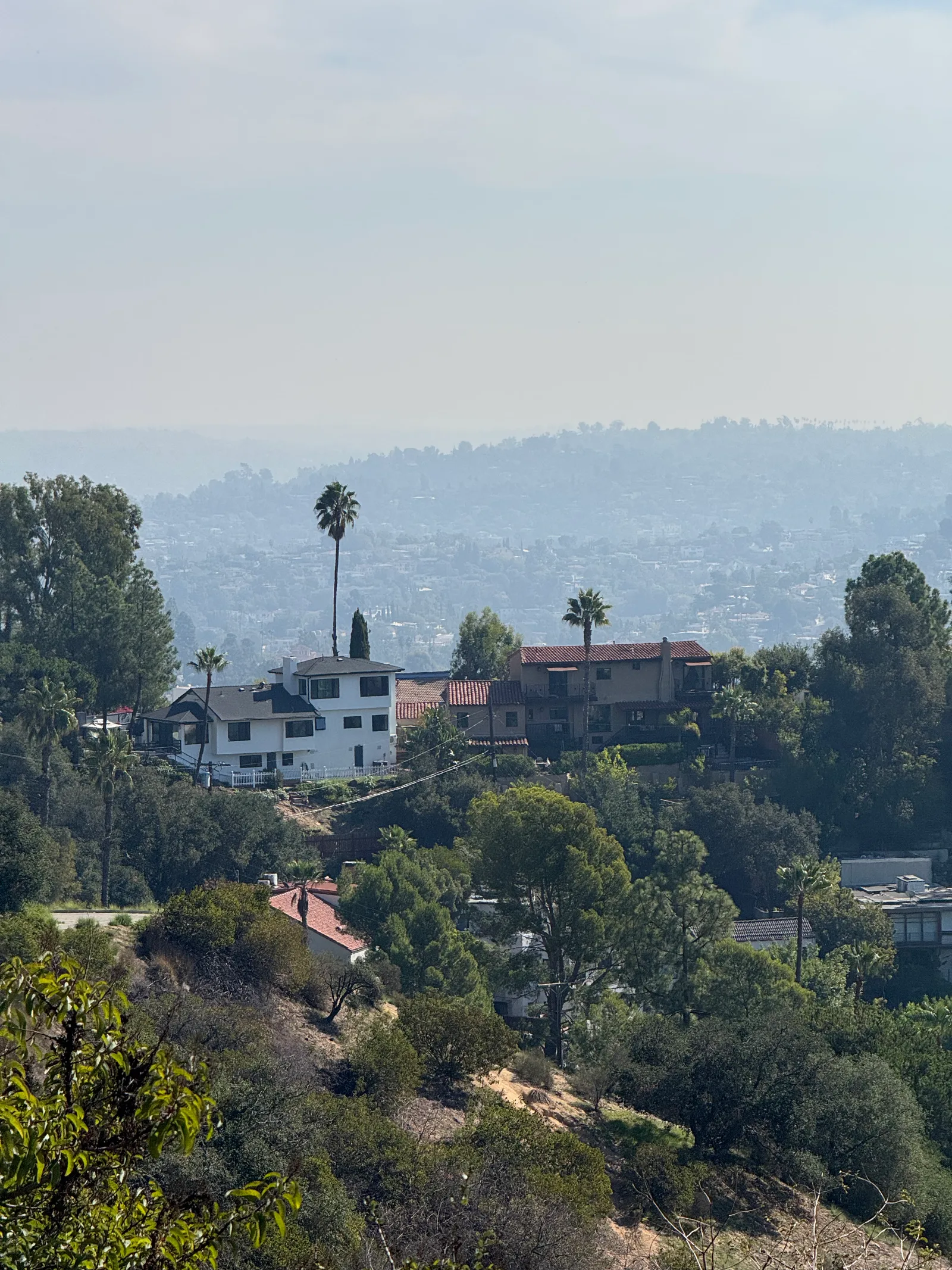 Hollywood, United States — 31 October 2025