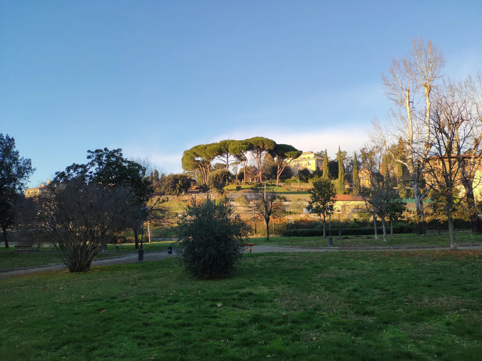 Photo from 10 December 2018