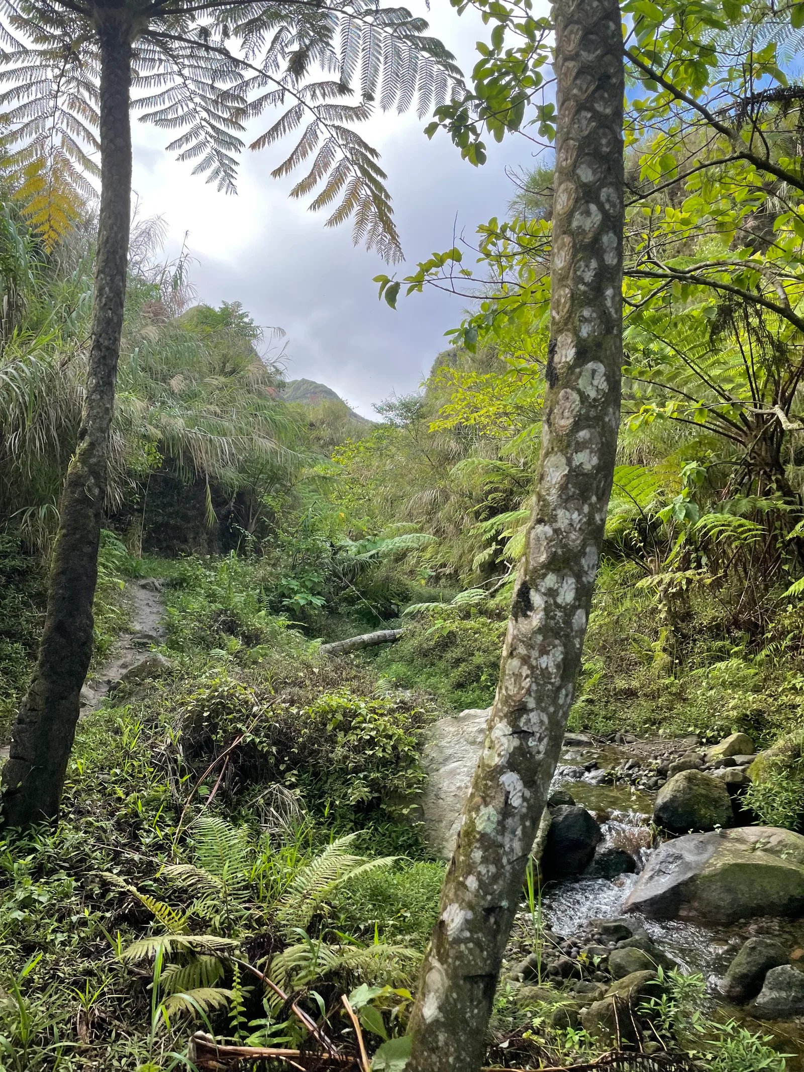 Babo-Pangulo, Philippines — 29 May 2022