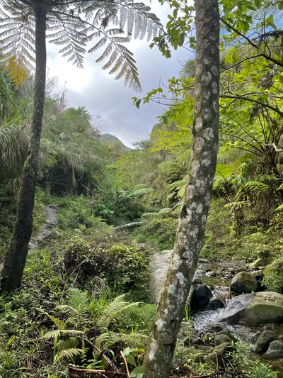 Babo-Pangulo, Philippines — 29 May 2022