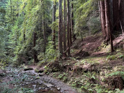 Day Valley, United States — 22 October 2025