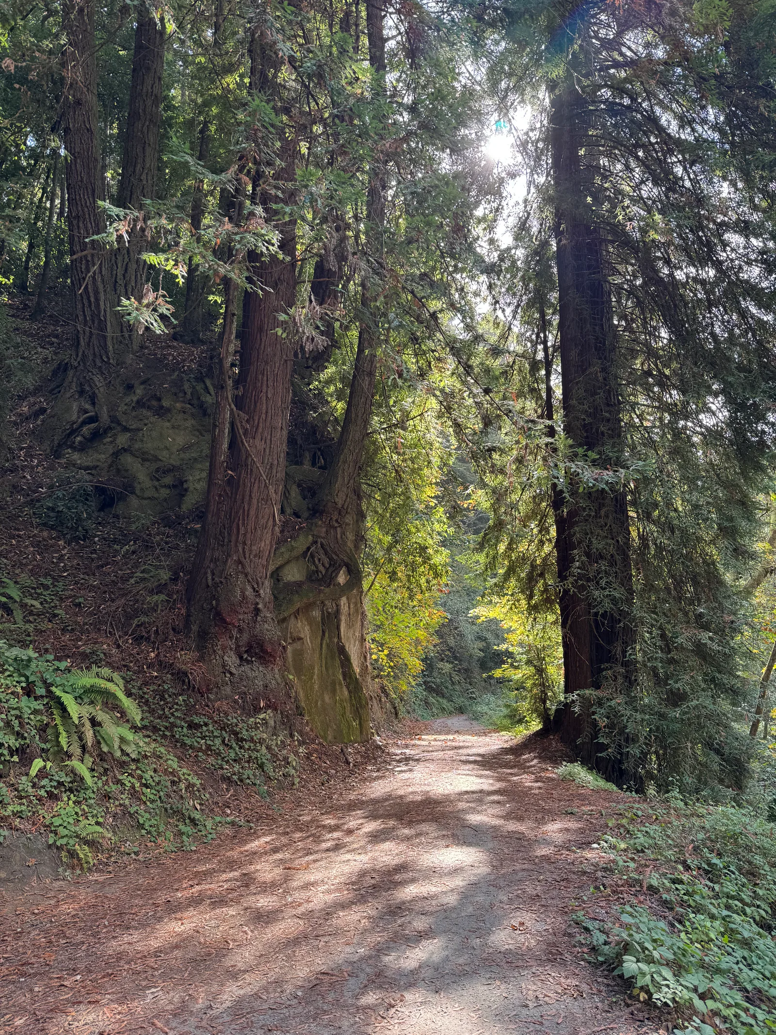 Day Valley, United States — 22 October 2025