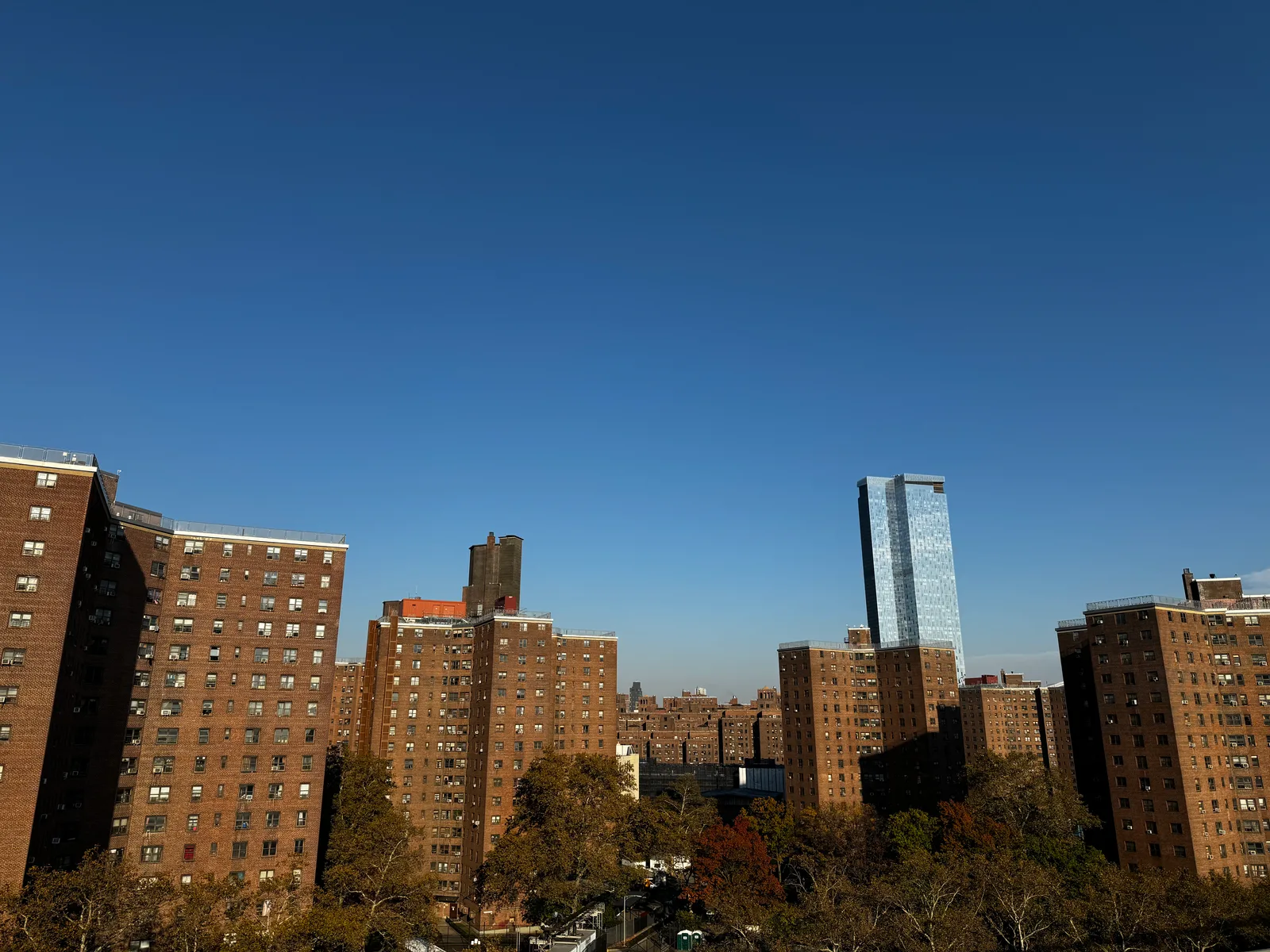 New York City, United States — 7 November 2023