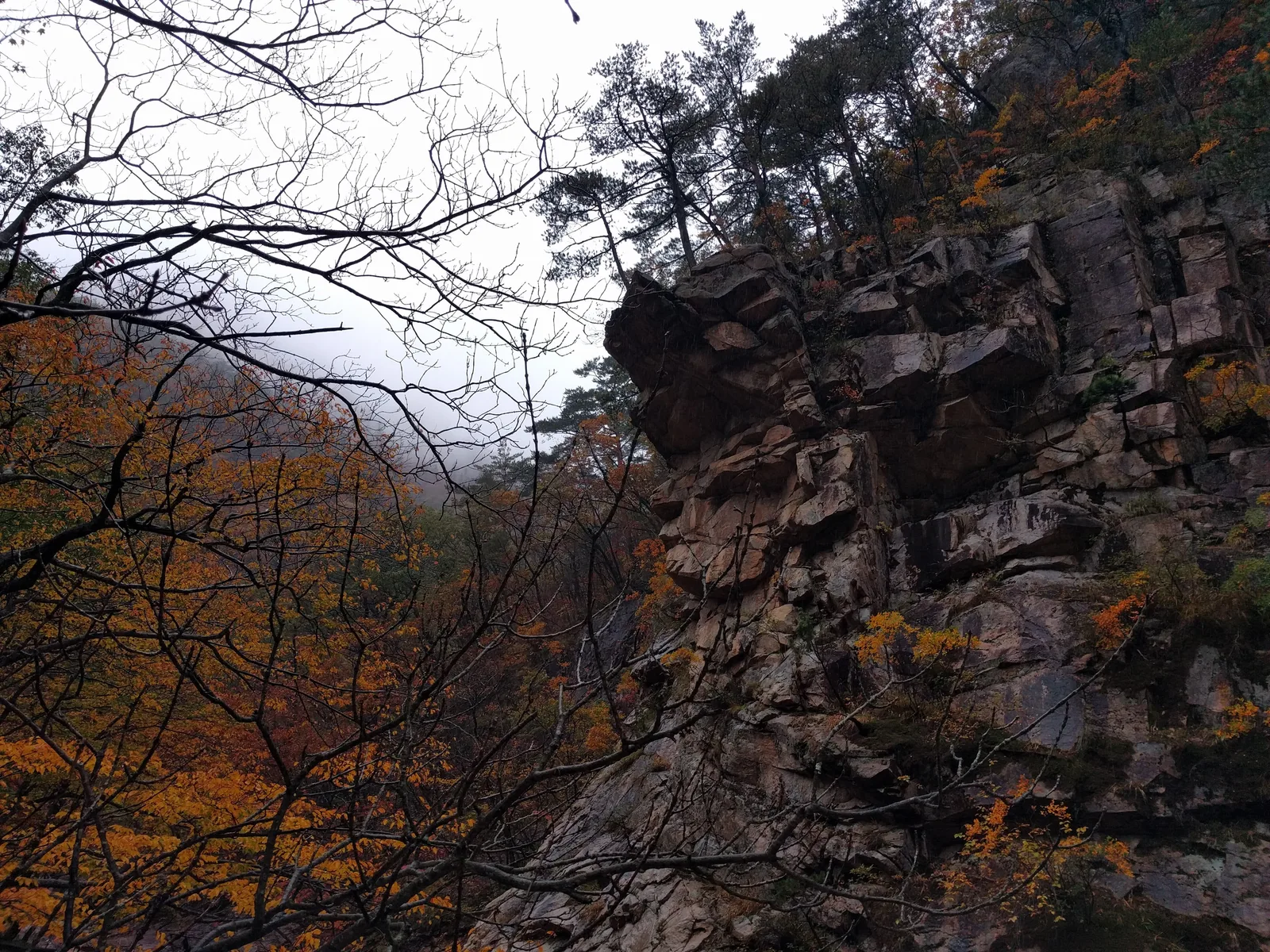 Sokcho, South Korea — 21 October 2016