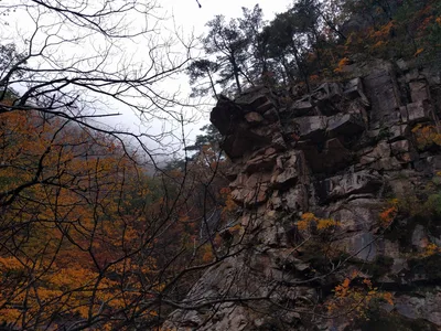 Sokcho, South Korea — 21 October 2016