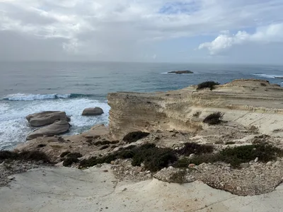 Pégeia, Cyprus — 28 January 2026