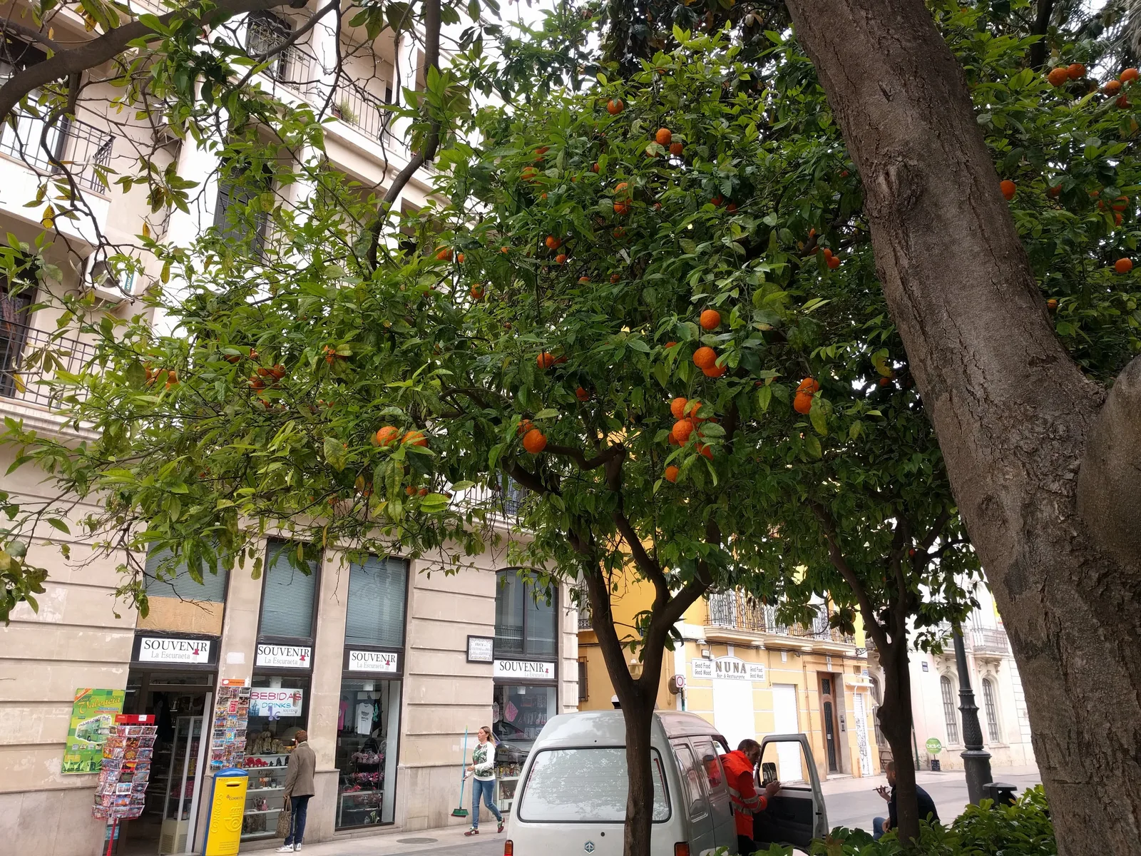 Photo from 29 April 2017