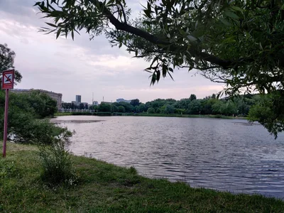 Lefortovo, Russia — 7 July 2020