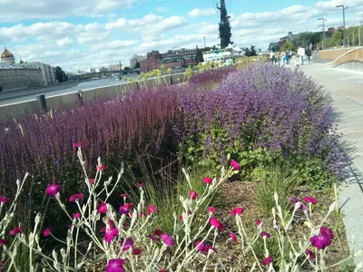 Photo from 22 June 2014