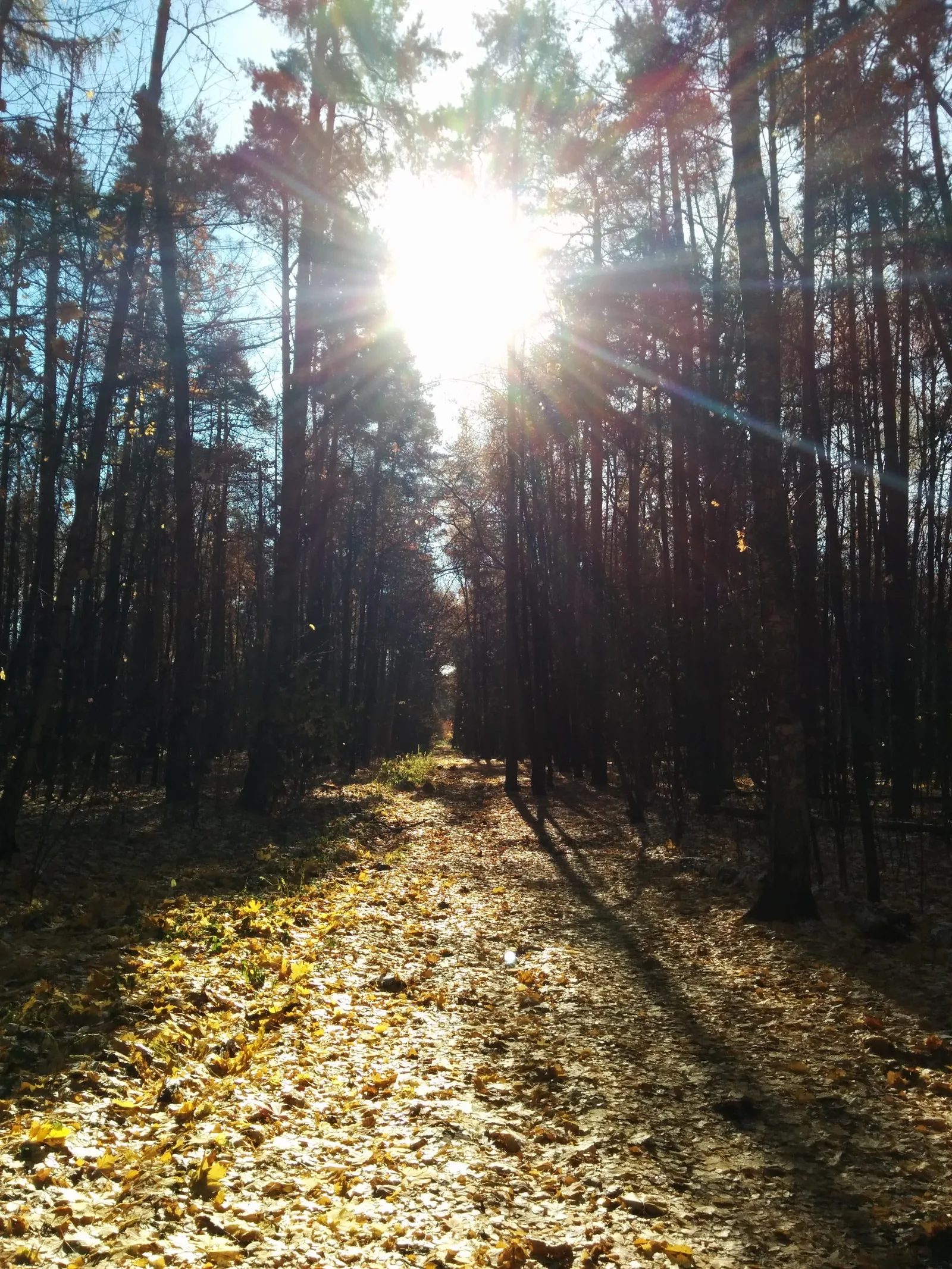 Photo from 19 October 2014