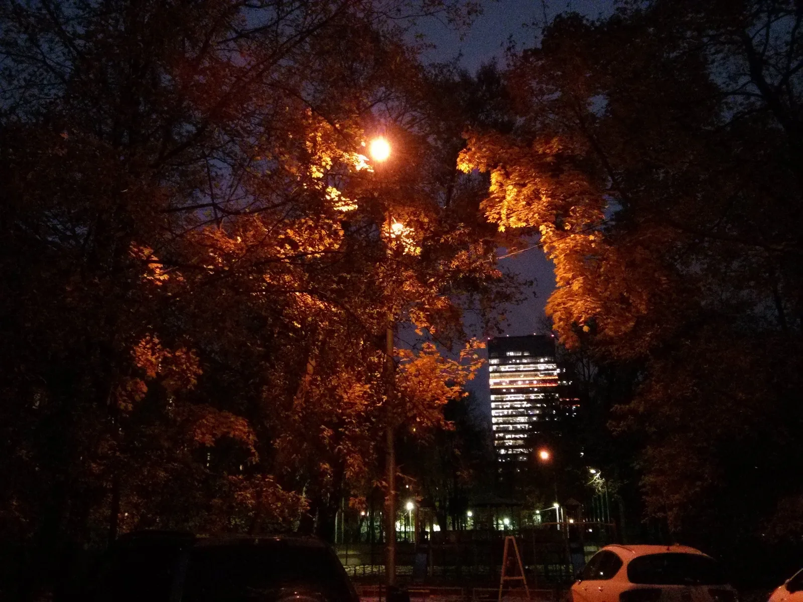 Photo from 9 October 2013