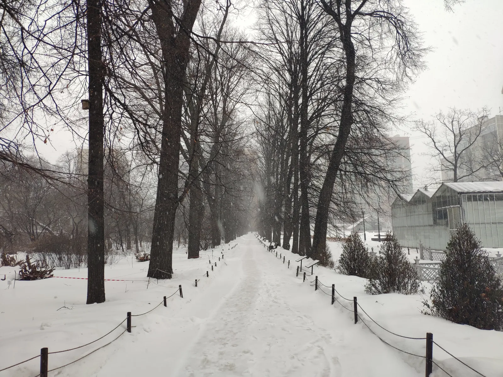 Photo from 26 January 2019