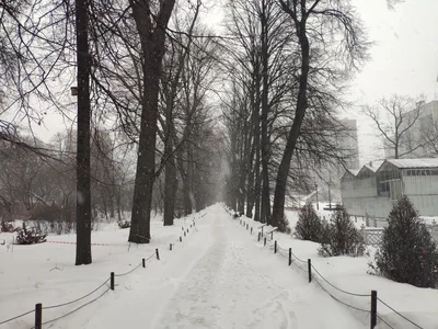 Photo from 26 January 2019