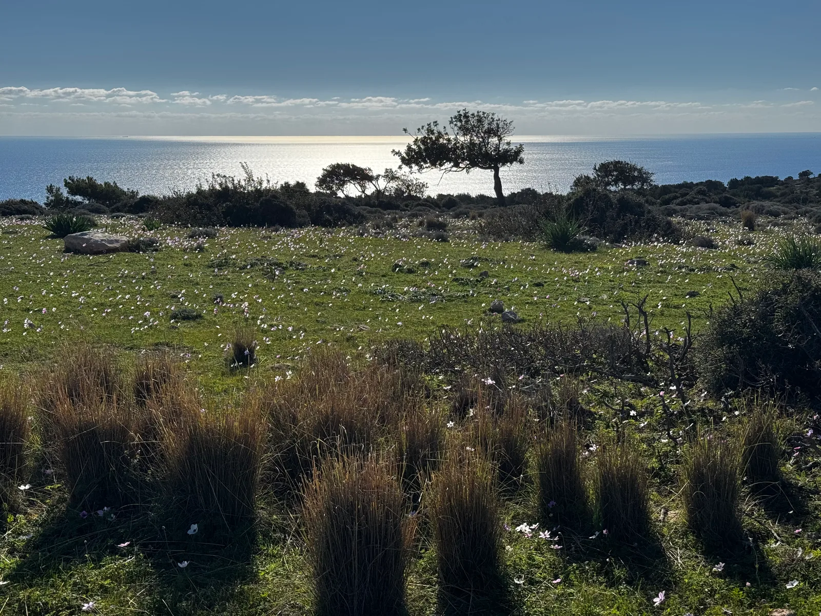Pissoúri, Cyprus — 18 January 2025