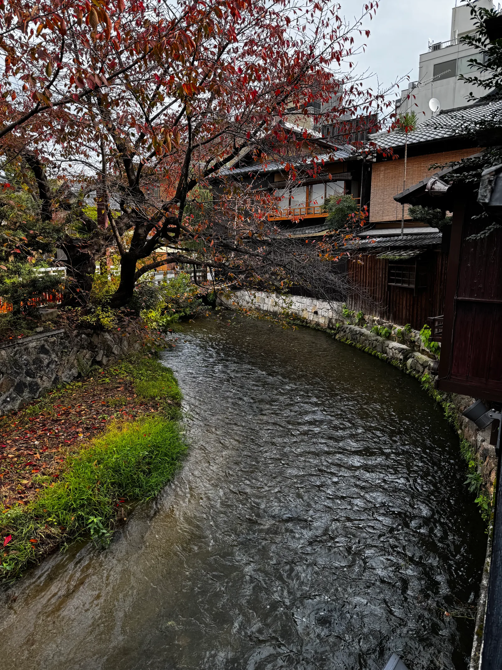 Kyoto, Japan — 27 November 2024