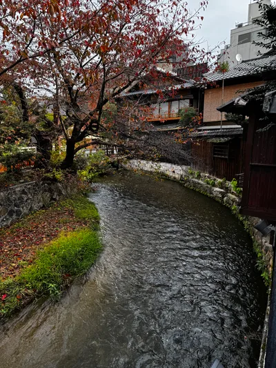 Kyoto, Japan — 27 November 2024