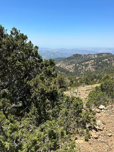 Tróodos, Cyprus — 24 June 2023