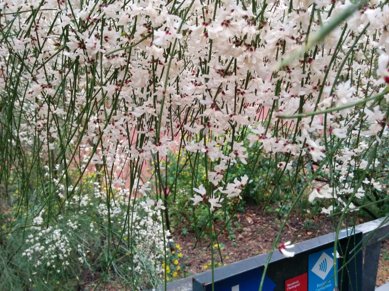Photo from 30 March 2014