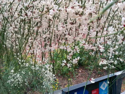 Photo from 30 March 2014