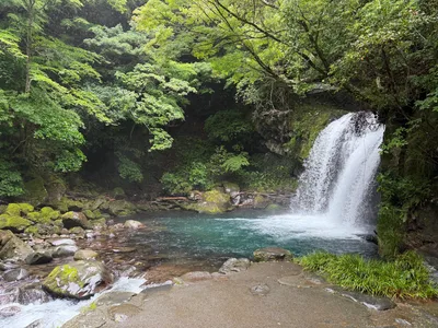 Kawazu-ikadaba, Japan — 20 June 2026