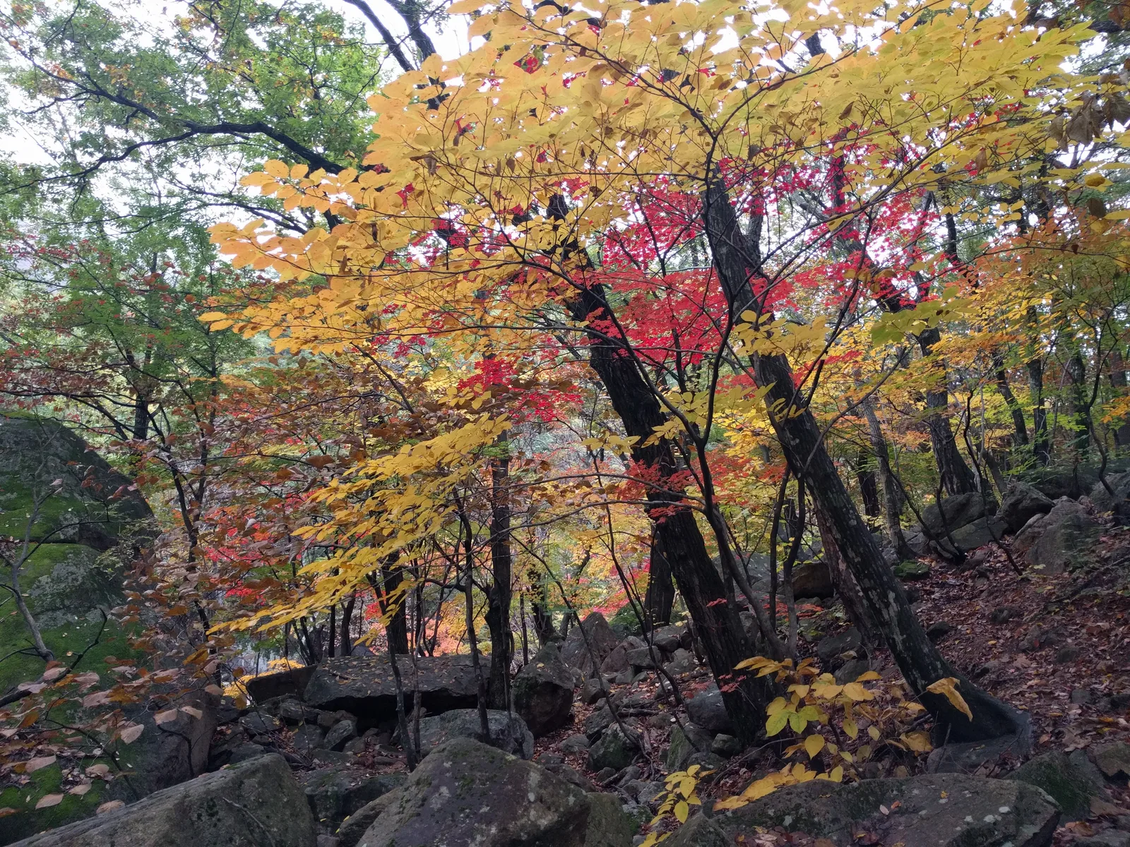 Sokcho, South Korea — 21 October 2016
