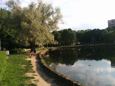 Photo from 3 June 2015