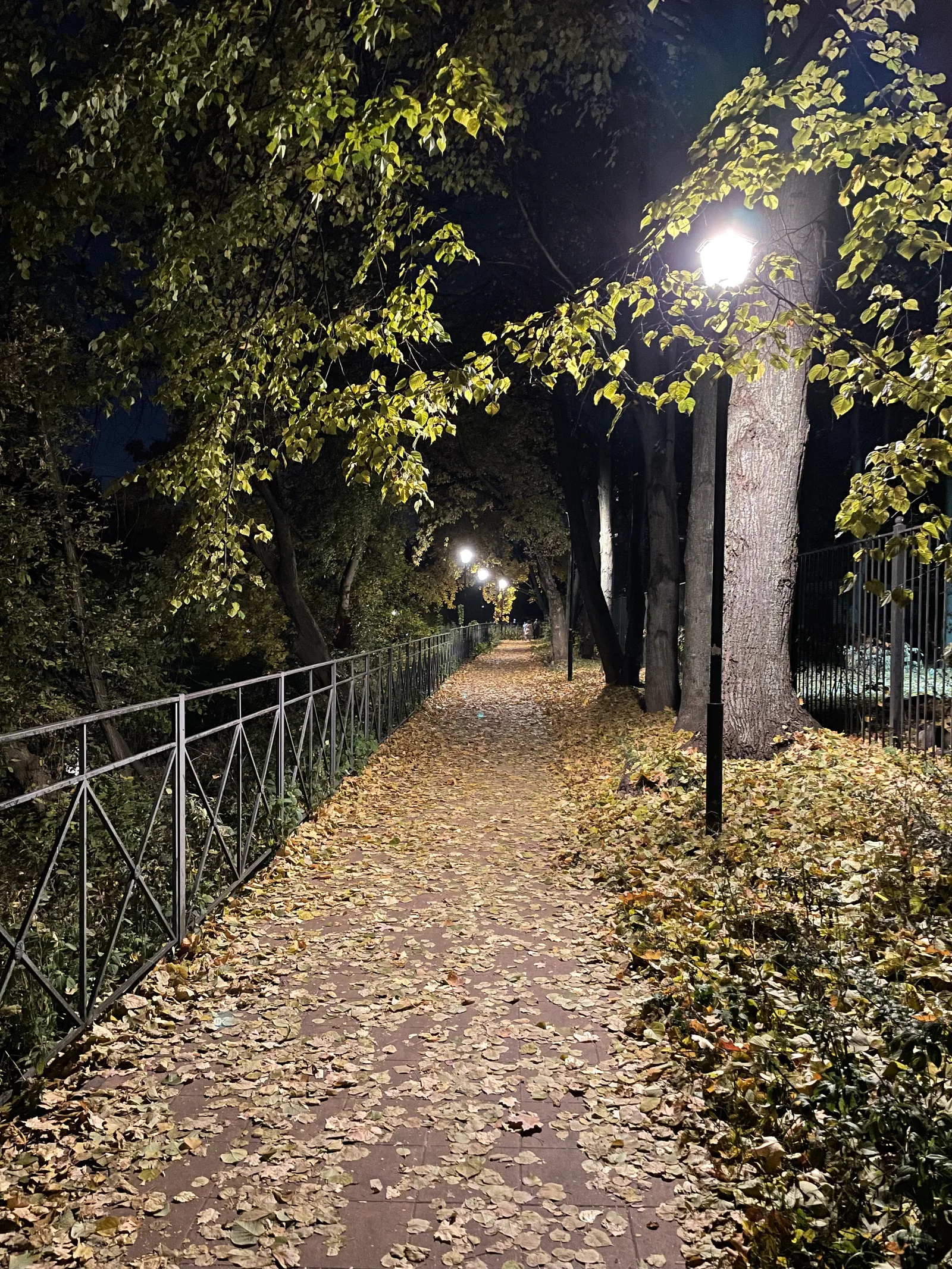 Golovinskiy, Russia — 8 October 2021