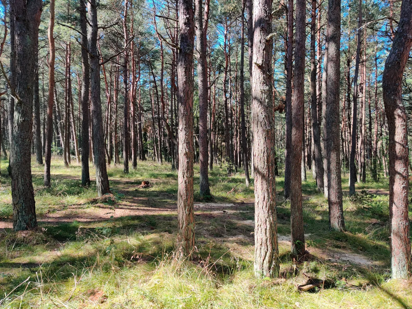 Nida, Lithuania — 18 July 2020