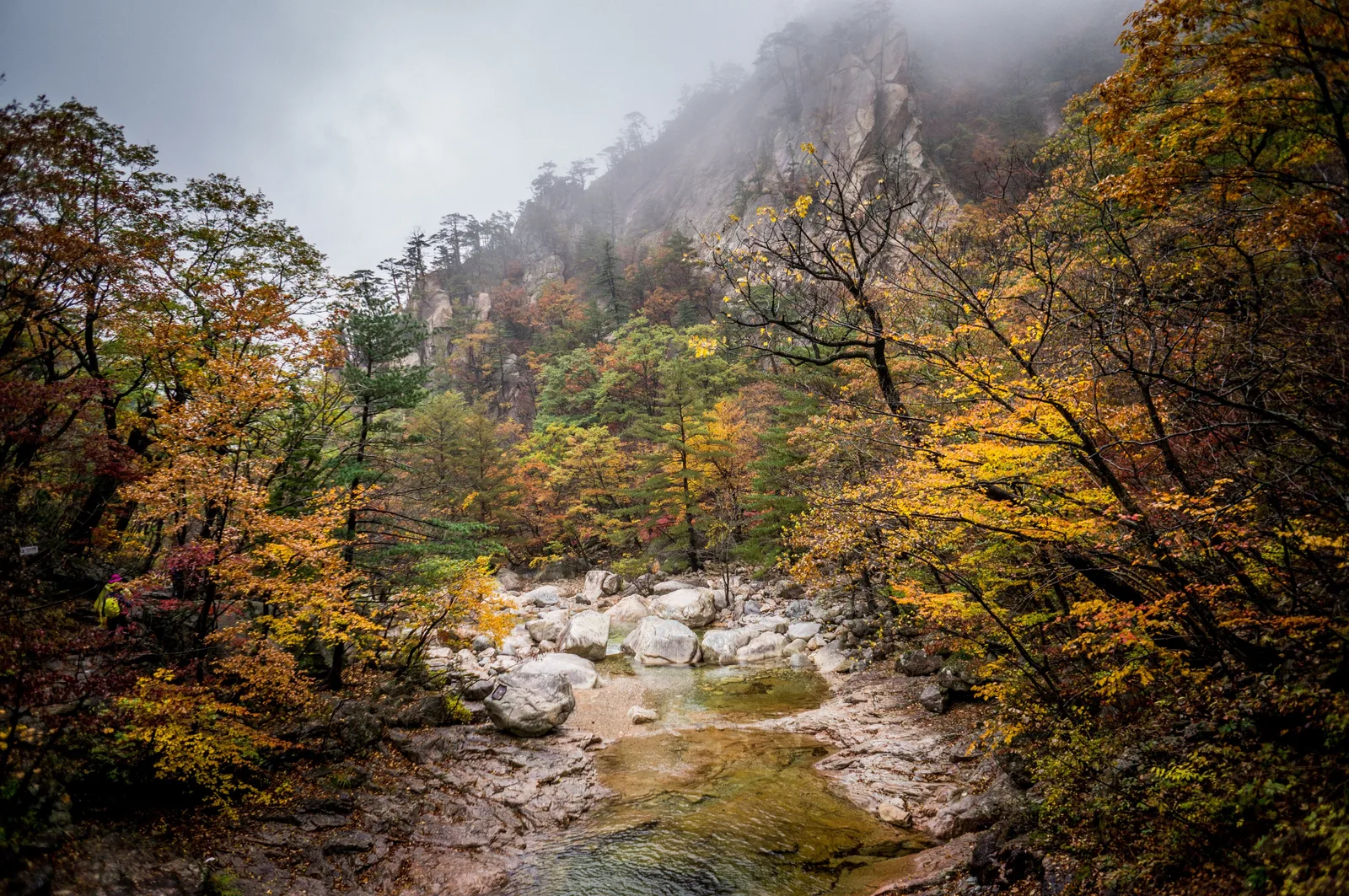 Photo from 21 October 2016