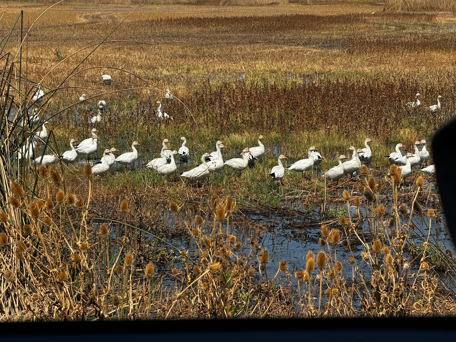 Willows, United States — 31 August 2024