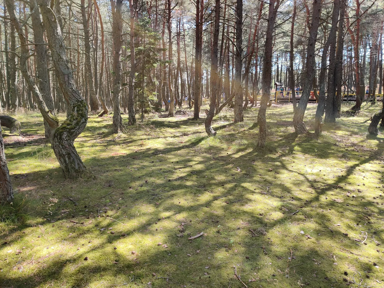 Nida, Lithuania — 18 July 2020
