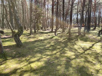 Nida, Lithuania — 18 July 2020