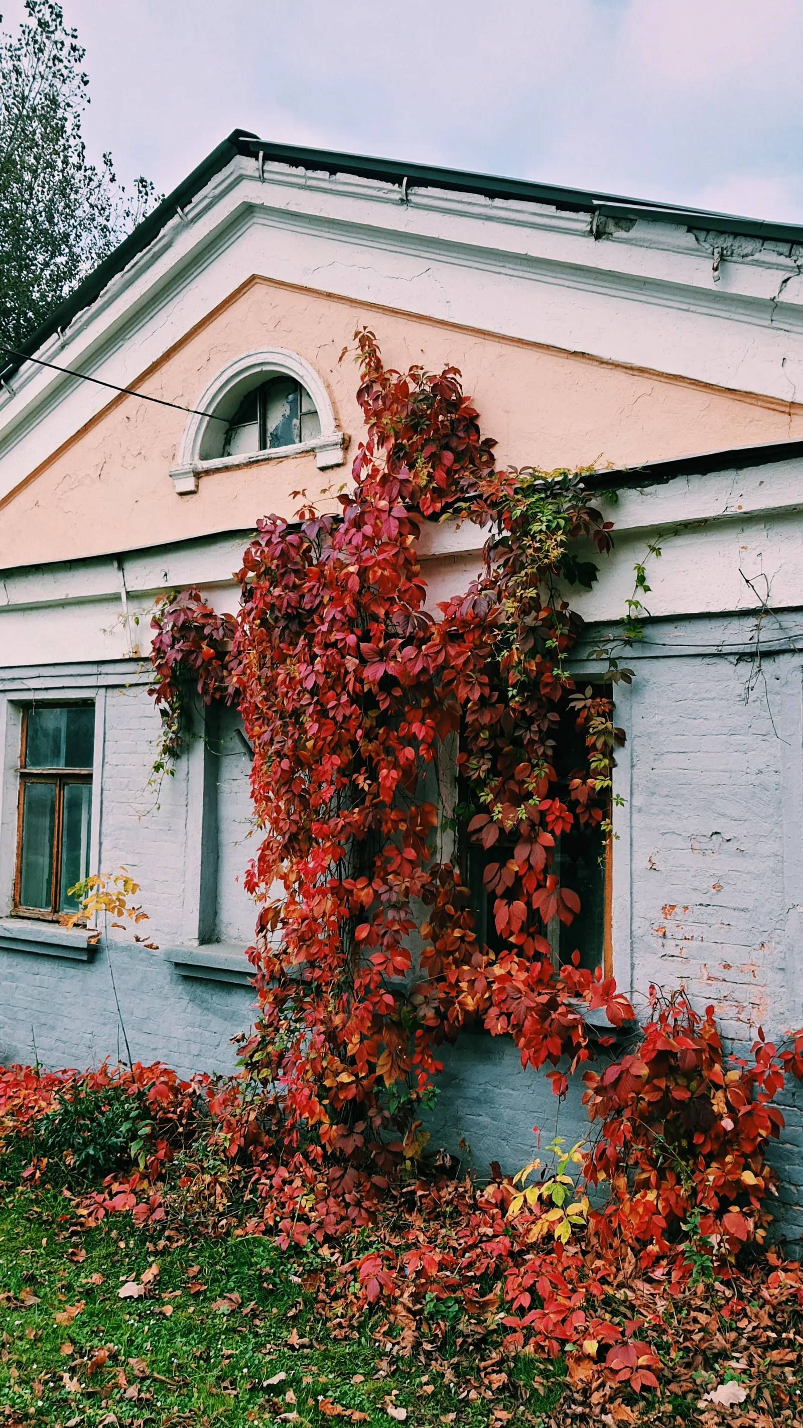 Photo from 17 October 2020