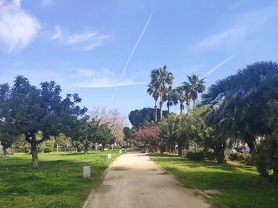 Photo from 12 March 2019
