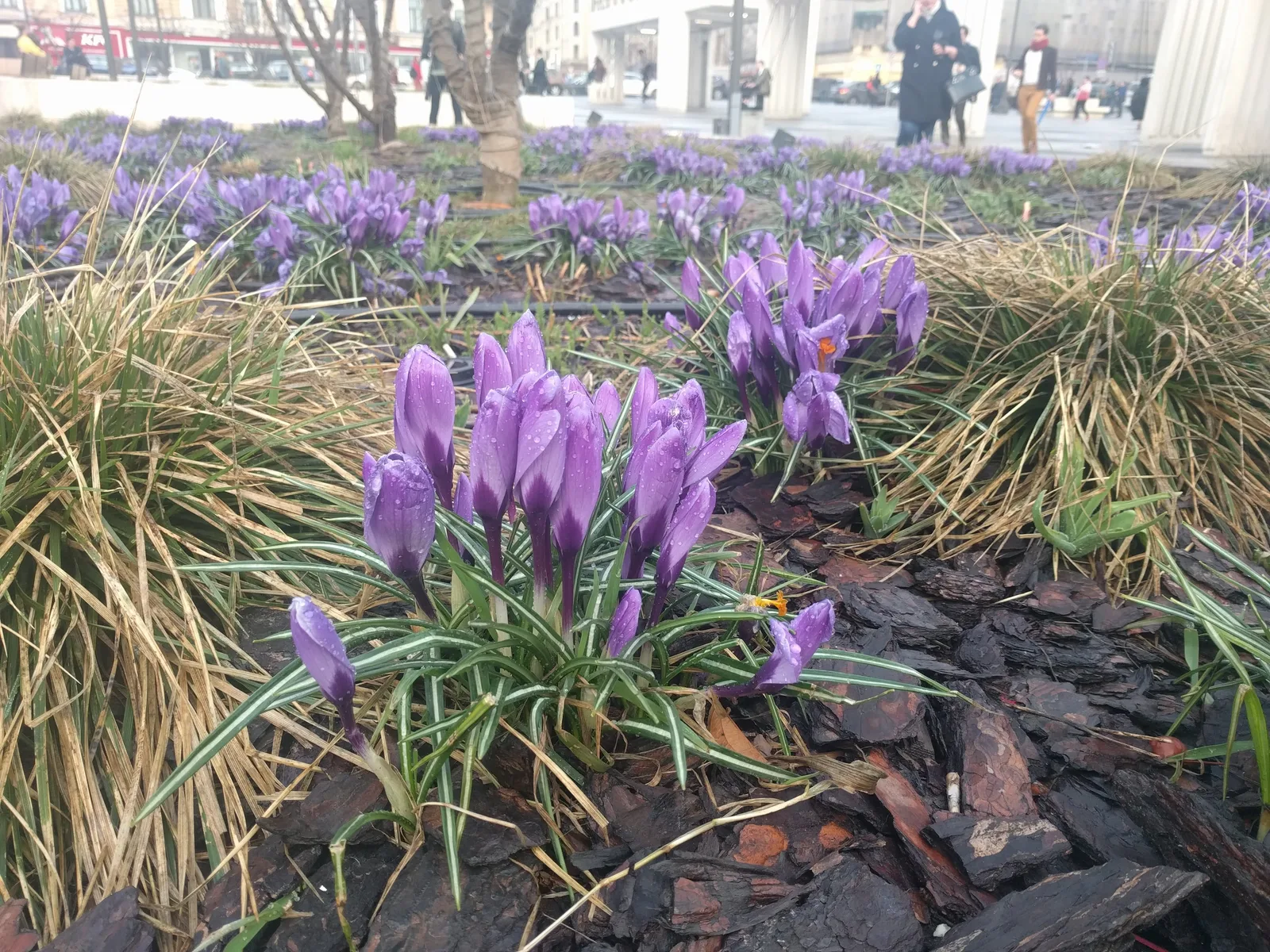Photo from 7 April 2017