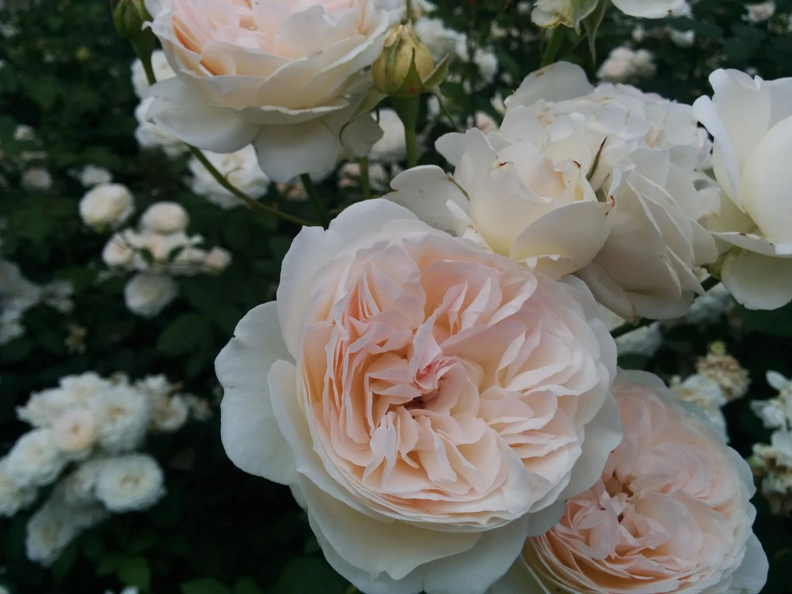 Photo from 5 July 2015