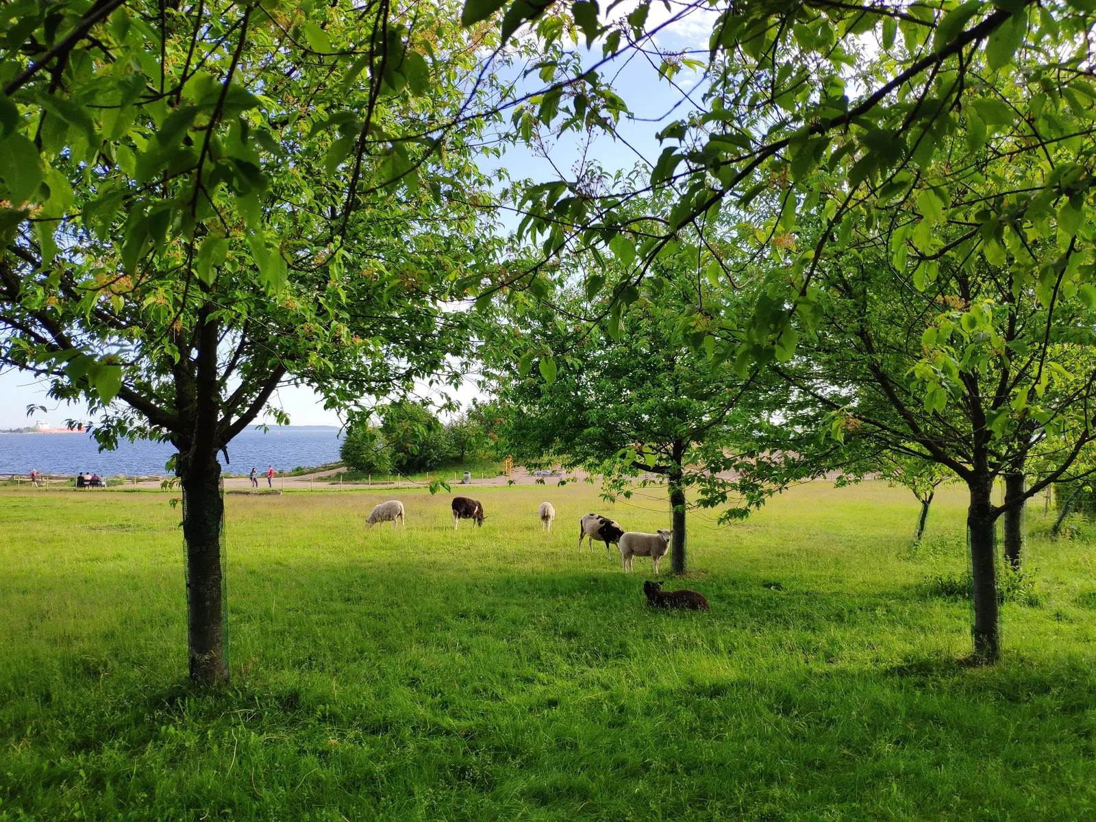 Photo from 16 June 2019