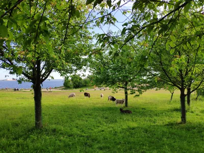 Photo from 16 June 2019