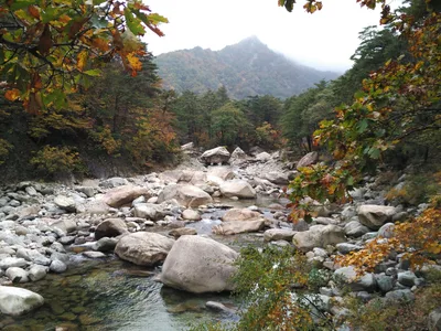 Sokcho, South Korea — 21 October 2016