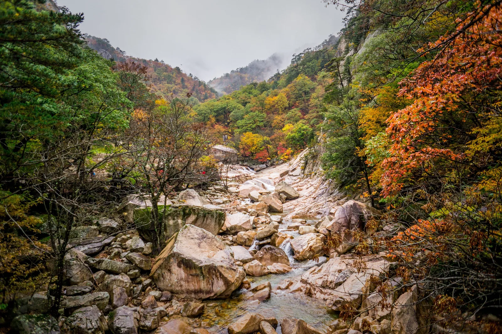 Photo from 21 October 2016