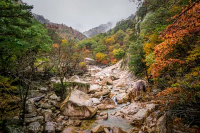 Photo from 21 October 2016