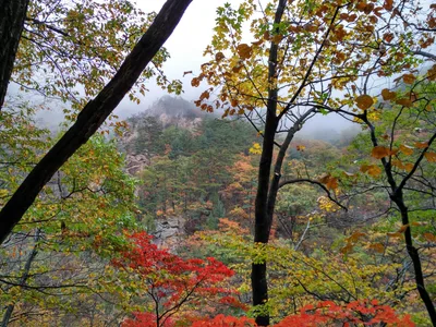 Photo from 21 October 2016